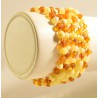 Lot of 5 wholesale Natural Baltic amber bracelet - unpolished with clasp