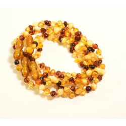 Lot of 5 wholesale Genuine Baltic amber bracelet -multi-color with clasp