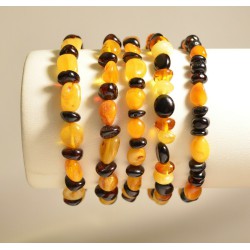 Lot 5 wholesale Natural Baltic amber multi color adult bracelet